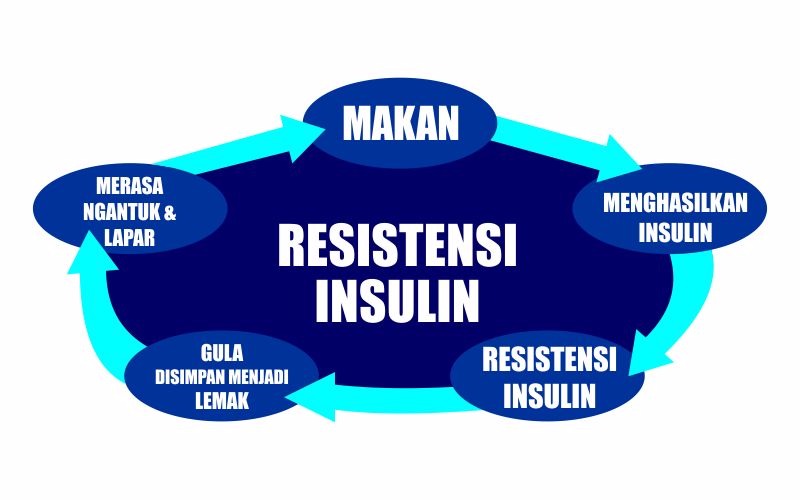 Awas! Bahaya Resistensi Insulin Mengancam