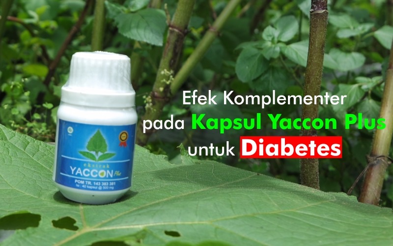 Efek Komplementer pada Kapsul Yaccon Plus untuk Diabetes