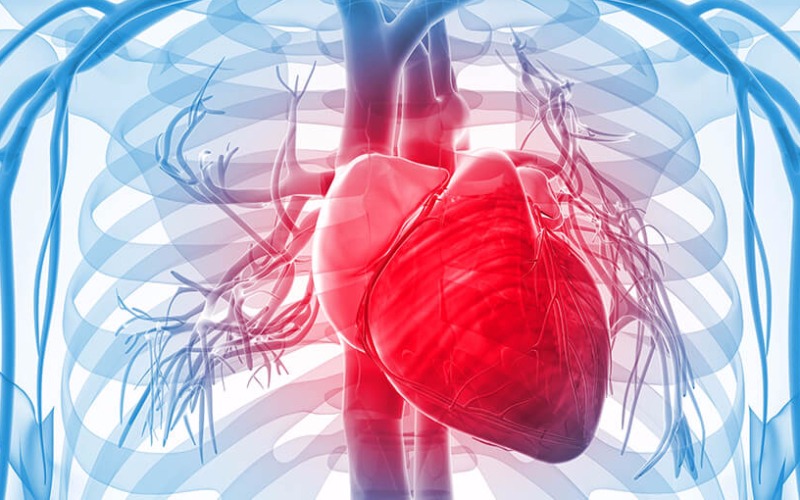 Diabetes - Antara Gula dan Tubuh Anda