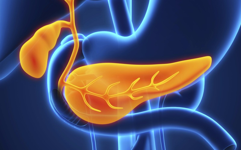 Diabetes - Antara Gula dan Tubuh Anda