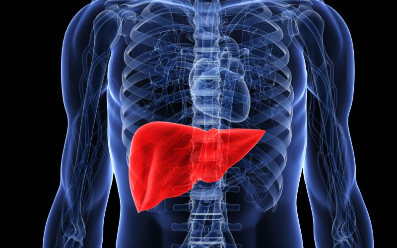 Diabetes tipe 2 dan Mekanisme dalam tubuh