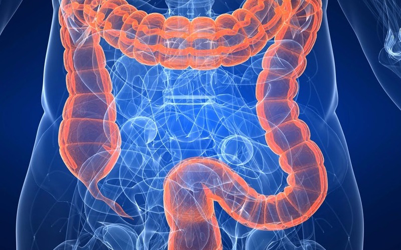 Diabetes tipe 2 dan Mekanisme dalam tubuh