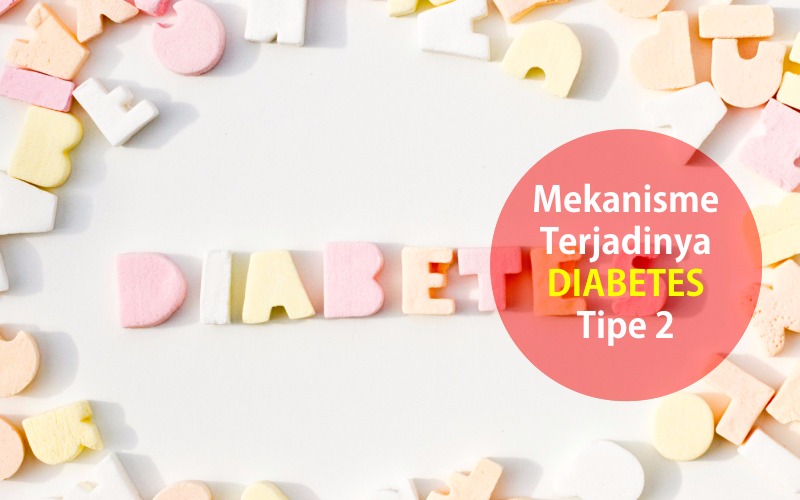 Diabetes tipe 2 dan Mekanisme dalam tubuh