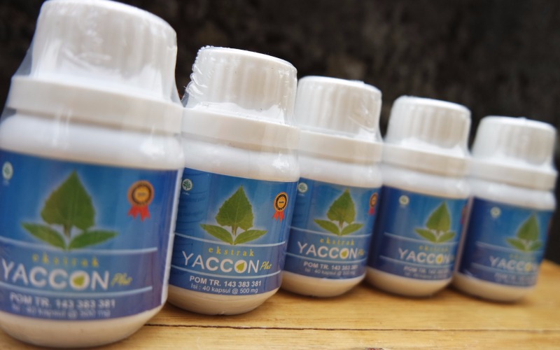 Obat Herbal Diabetes Kering