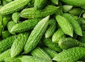 obat diabetes herbal
