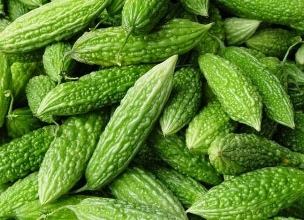 obat herbal untuk diabetes