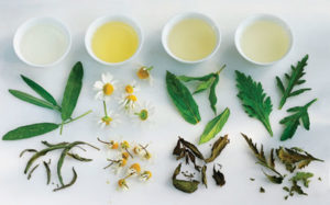 obat diabetes herbal