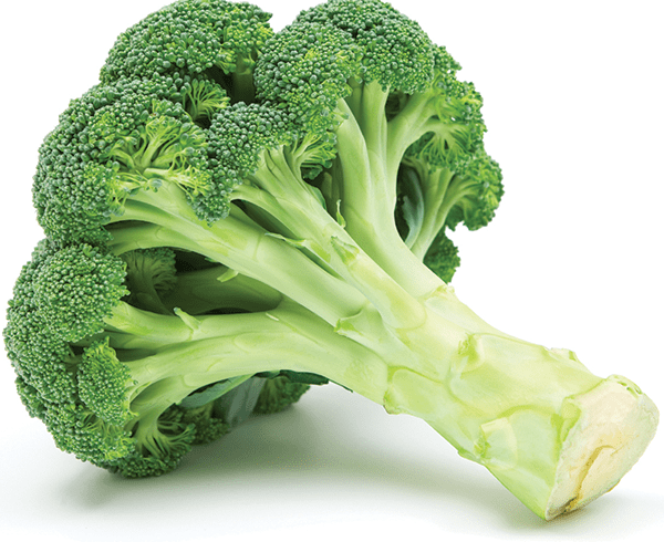 obat diabetes herbal