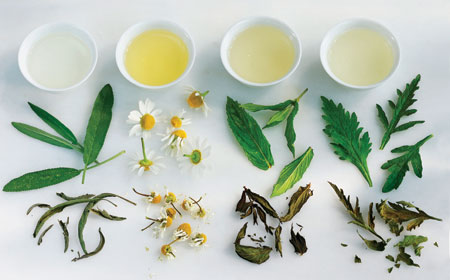 JARANG DIKENAL HERBAL TEA INI POTENSIAL JADI OBAT DIABETES